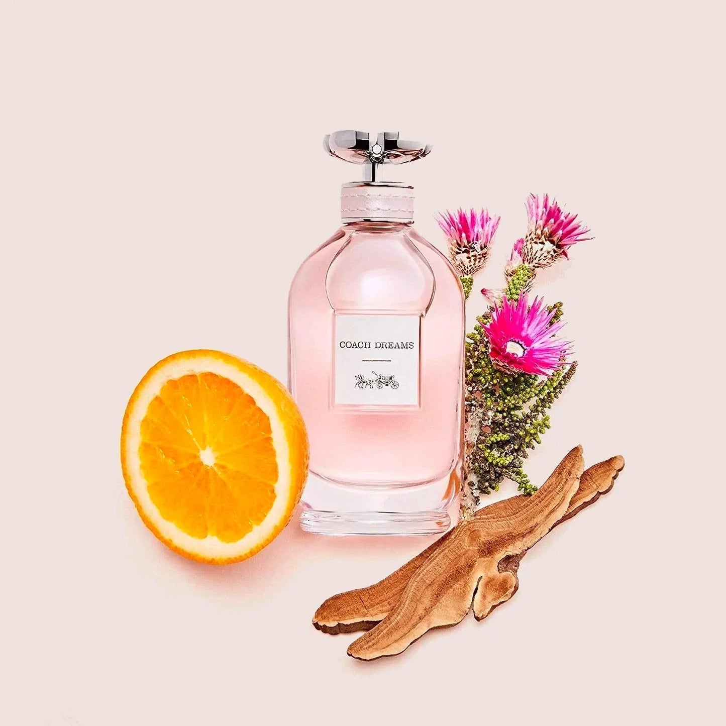 Coach Dreams by Coach, 3 oz Eau De Parfum Spray for Women - 101 Perfume Plus
